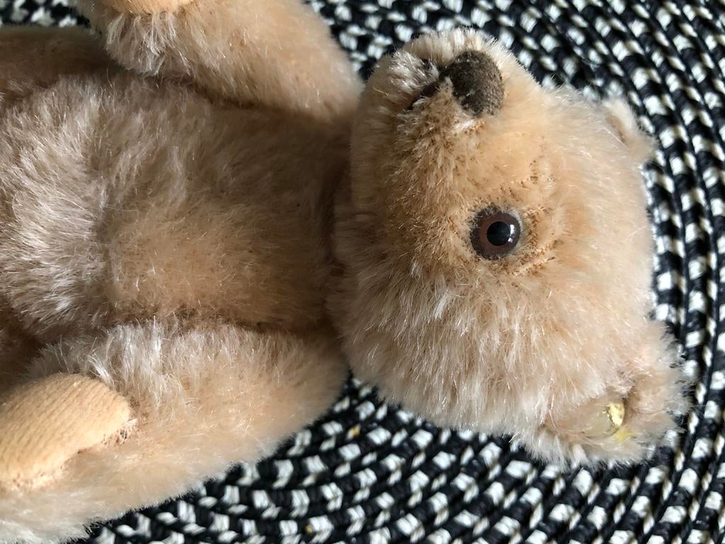 Ours en peluche Steiff, Enlèvement ou Envoi, Comme neuf, Ours en tissus, Steiff