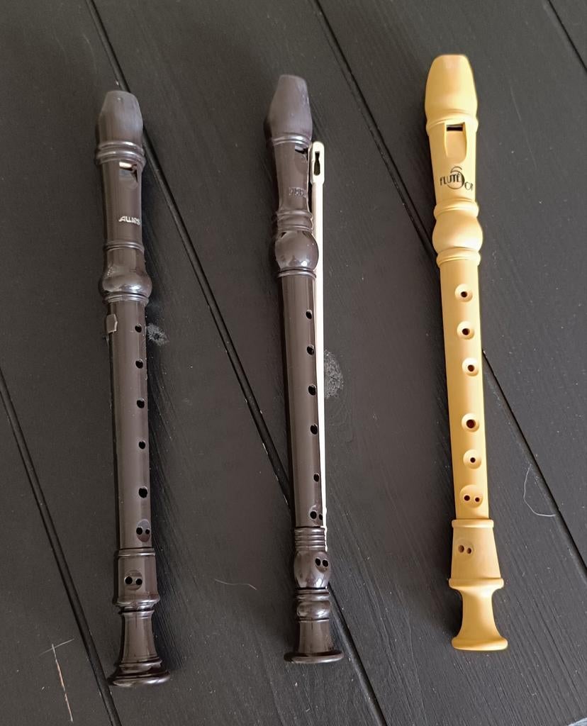 Enregistreurs, Musique & Instruments, Instruments à vent | Flûtes à bec, Enlèvement ou Envoi, Utilisé, Autres types, Synthétique