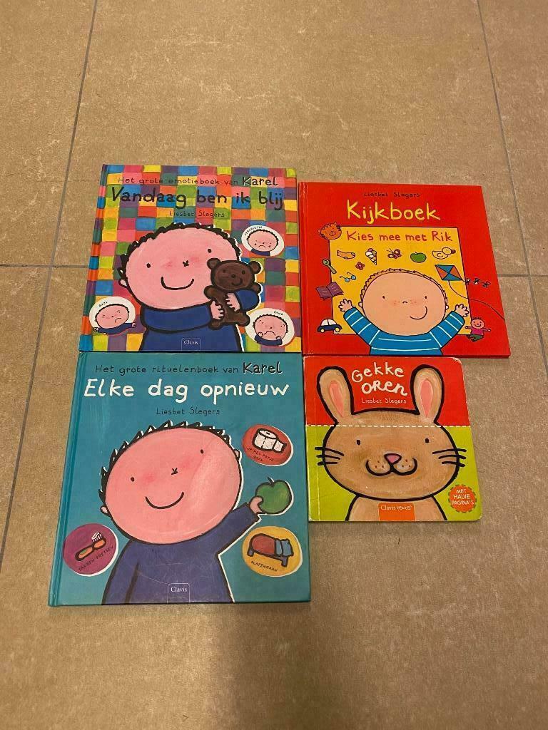 Boeken pakket Liesbet Slegers, Ophalen, Zo goed als nieuw, Liesbet Slegers, Fictie algemeen