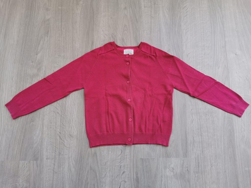Roze vestje Zara - maat 128, Meisje, Trui of Vest, Ophalen of Verzenden, Zo goed als nieuw