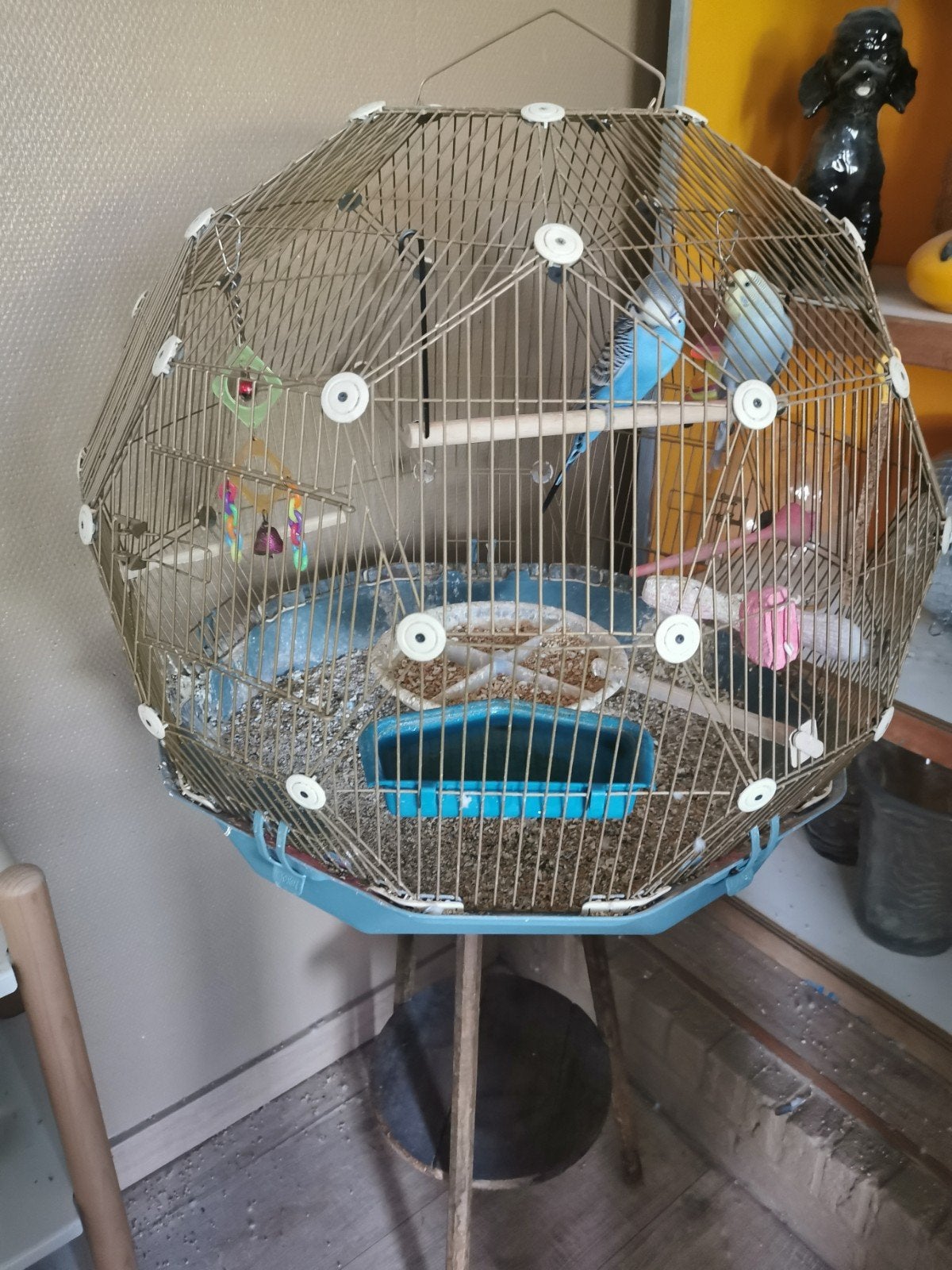 Omlet vogelkooi, Ophalen