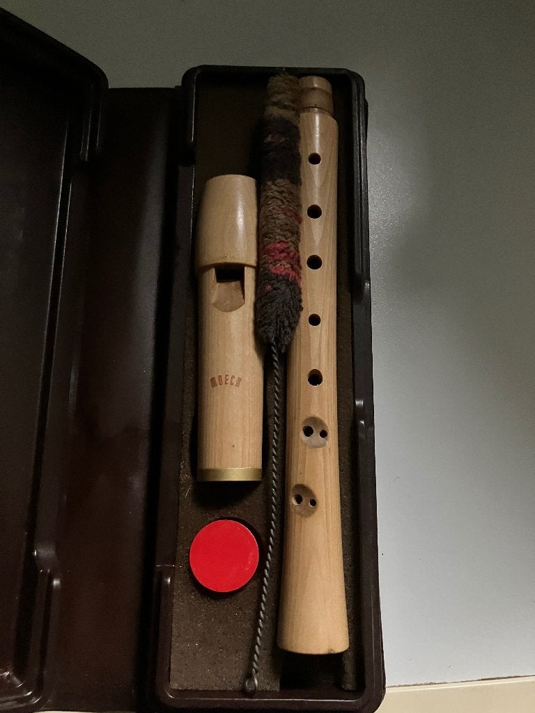 Blokfluit, Musique & Instruments, Instruments à vent | Flûtes à bec, Enlèvement, Utilisé