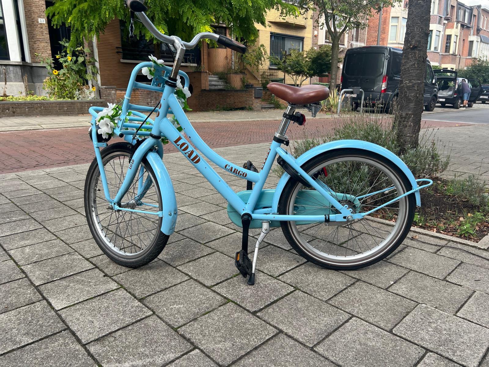 Cargo meisjes fiets 20inch, Ophalen, Terugtraprem, Gebruikt, Handrem