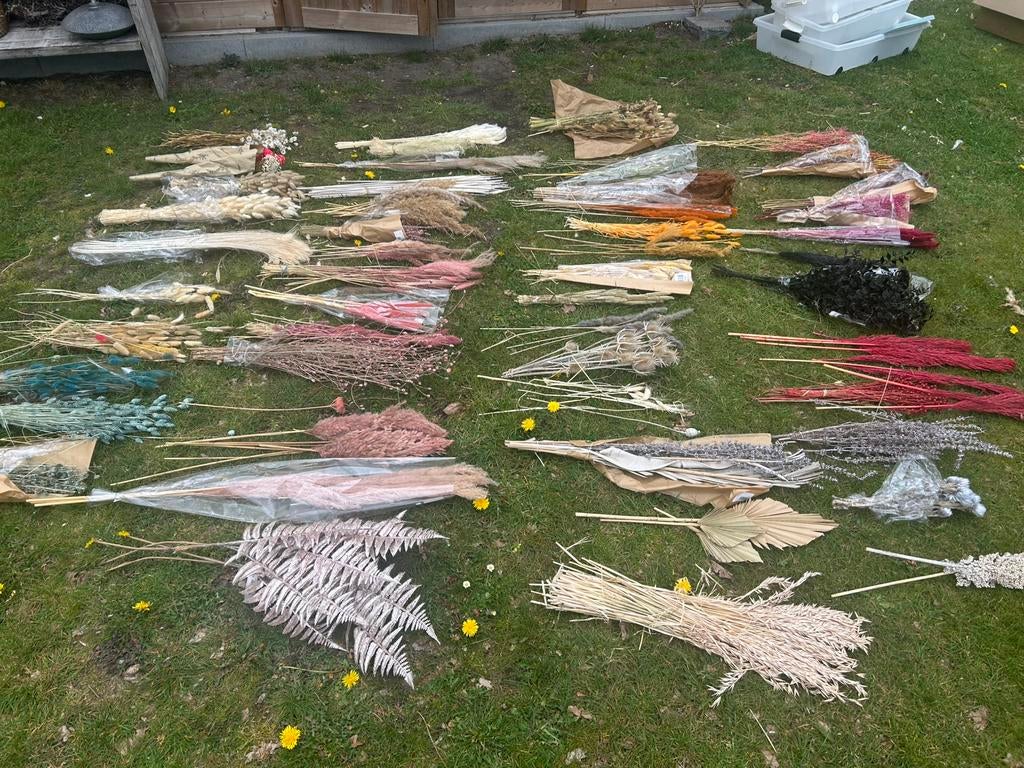 Groot lot droogbloemen, Ophalen, Nieuw