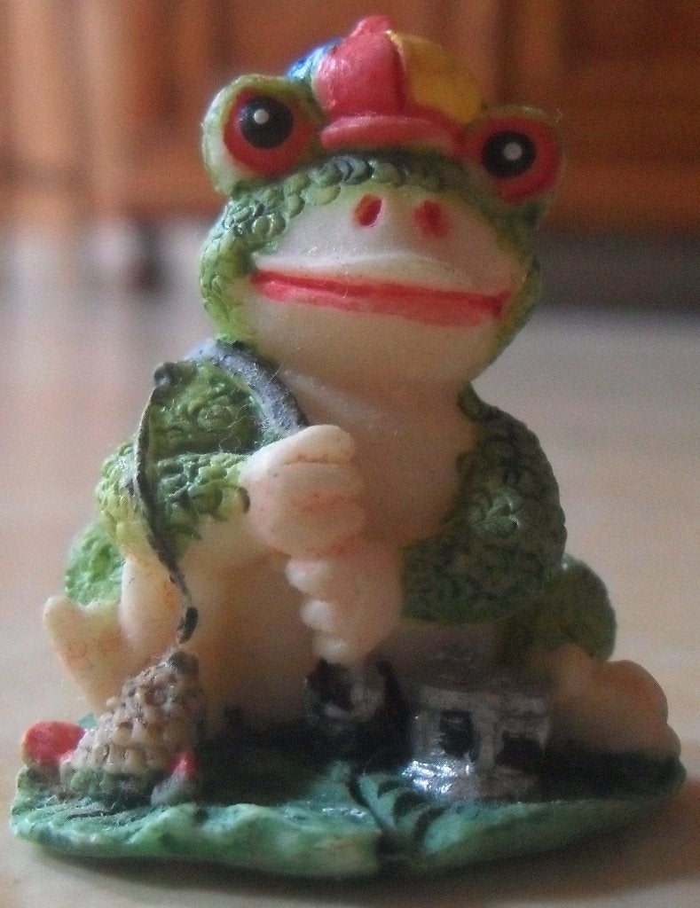 Grenouille assis sur son nénuphar, Enlèvement ou Envoi