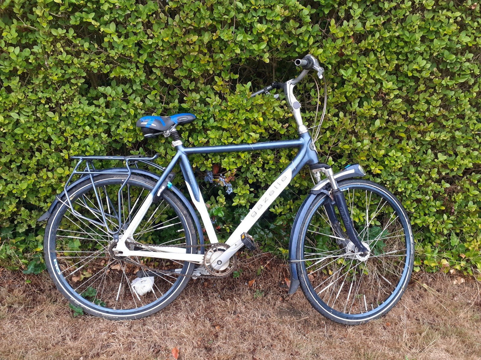 Vélo pour homme Gazelle en édition limitée, Enlèvement, 28 pouces, Gazelle