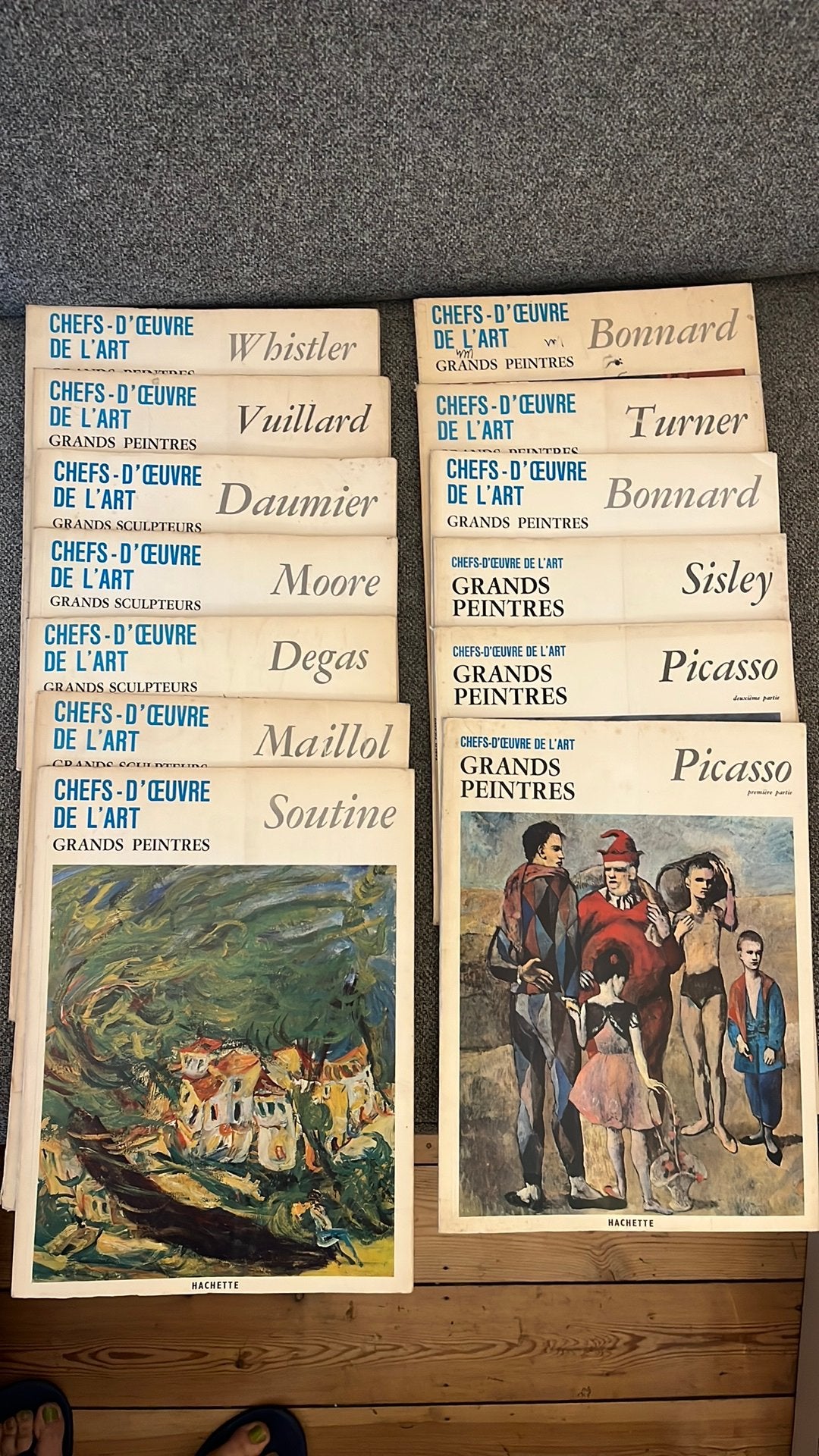 13 livres Chefs-d’œuvre de l’art – Grands peintres, Boeken, Ophalen, Zo goed als nieuw
