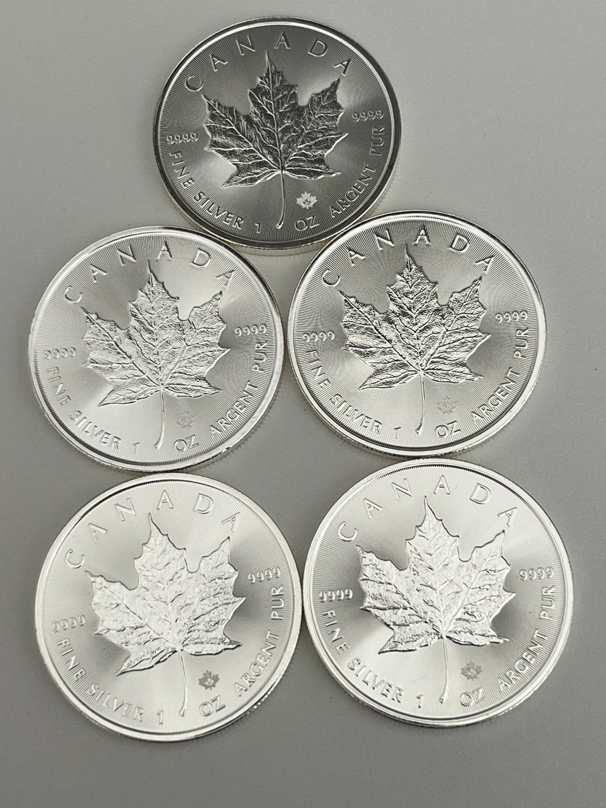 5 pièces en argent (1 oz) Maple Leaf, neuves 2021, Enlèvement ou Envoi