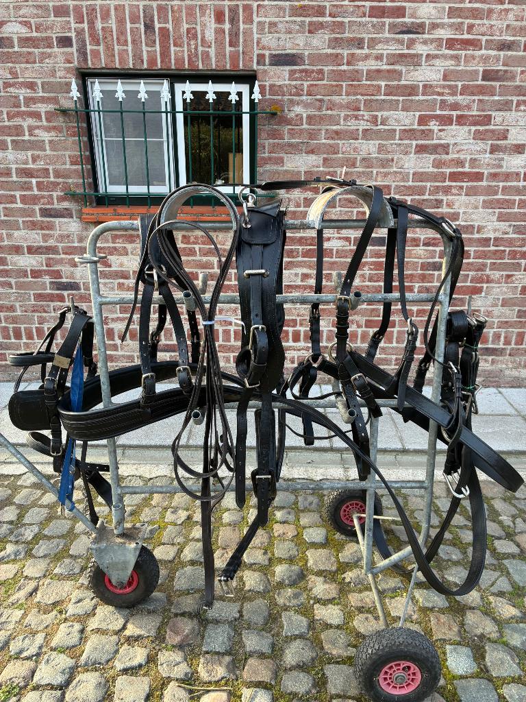 Harnais simple IDEAL pour cheval de trait, Enlèvement ou Envoi, Comme neuf, Récréation