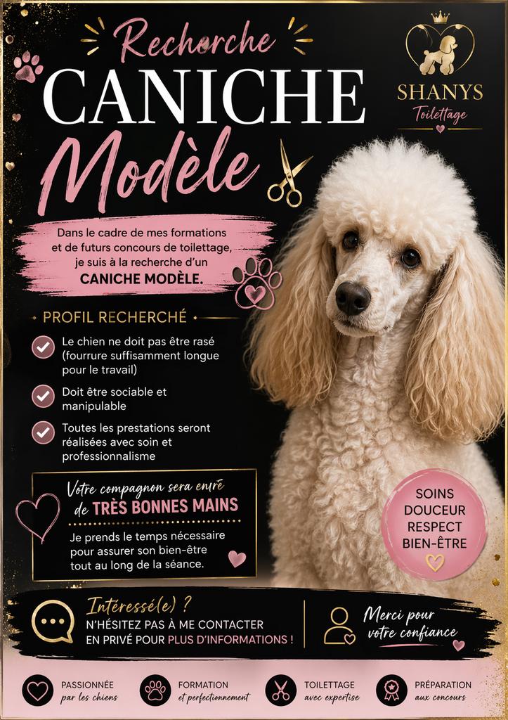 TOILETTAGE GRATUIT – MODÈLE RECHERCHÉ, Formation ou Cours