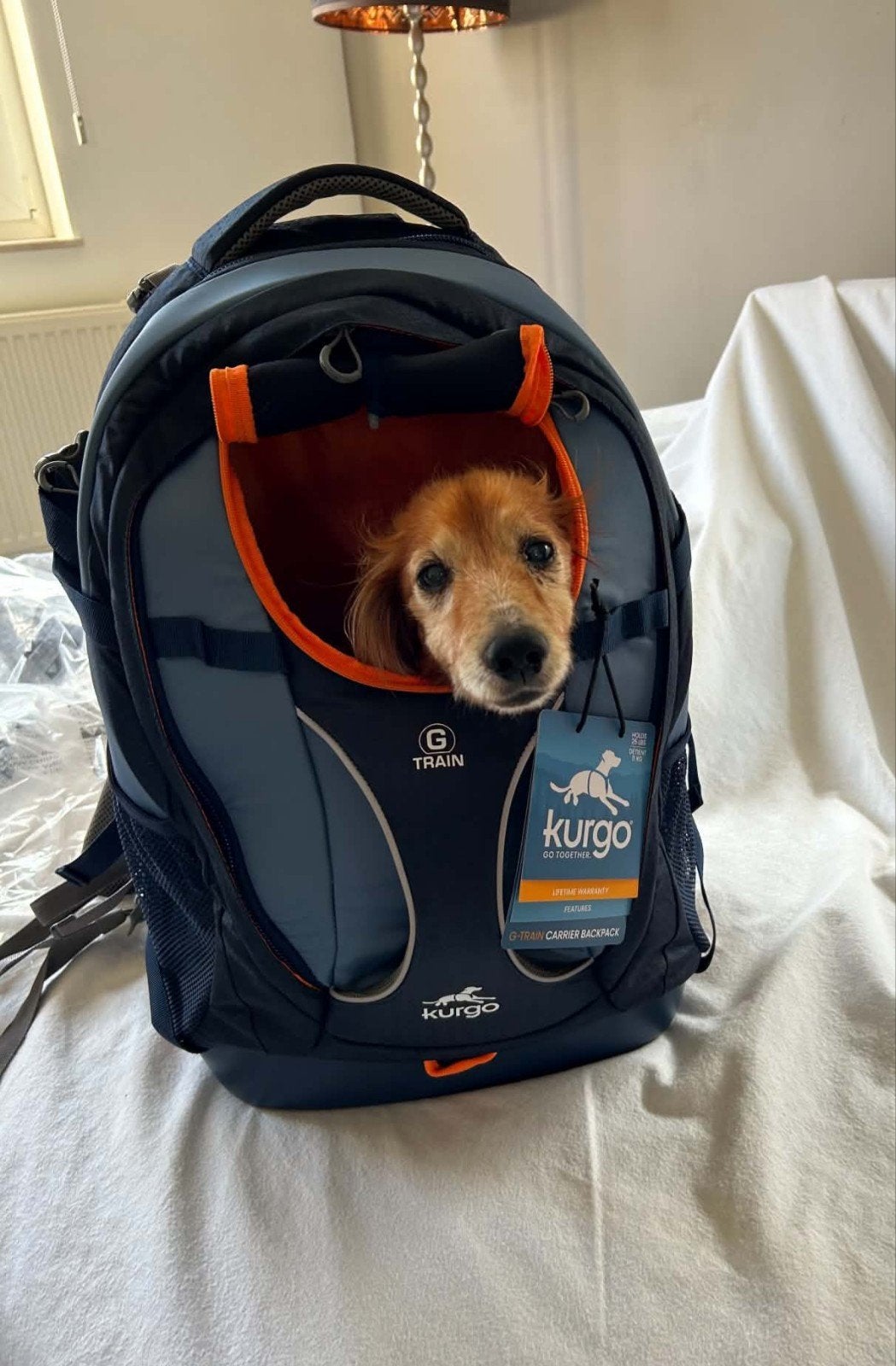 Sac de transport pour petit chien Kurgo G-Train K9,, Enlèvement ou Envoi, Neuf, Bleu