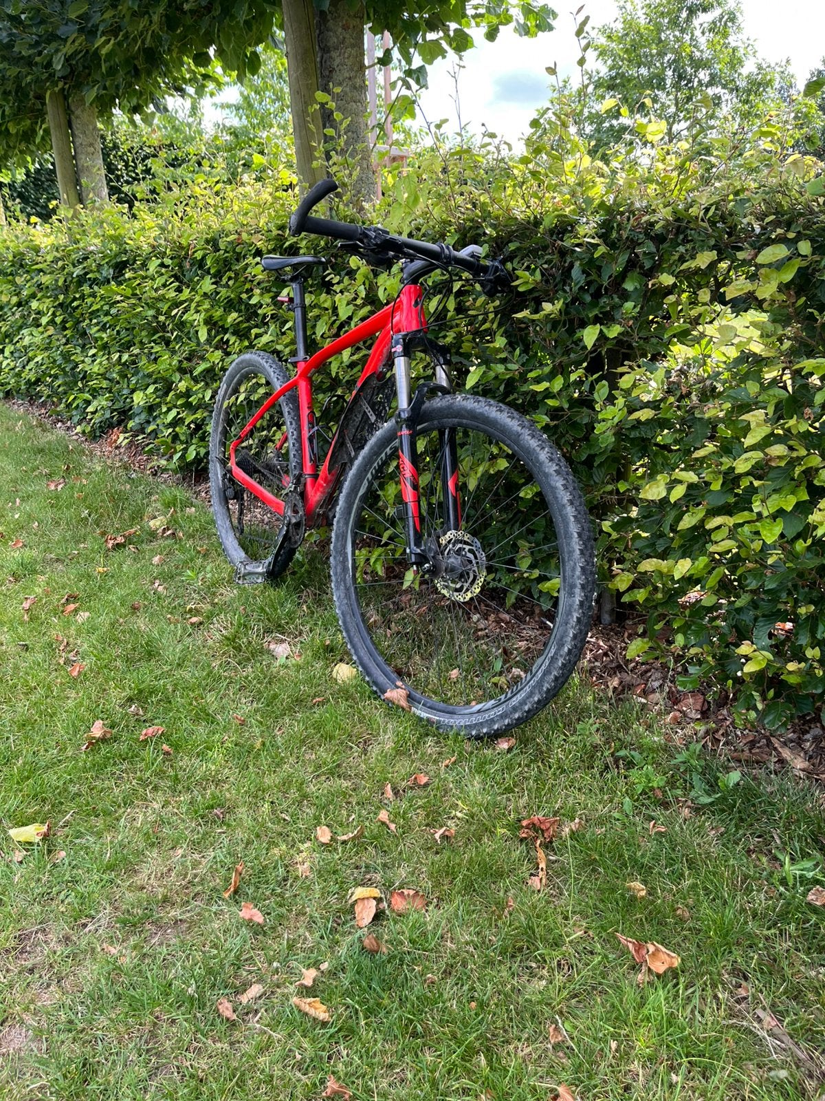 VTT spécialisé, Enlèvement, Comme neuf