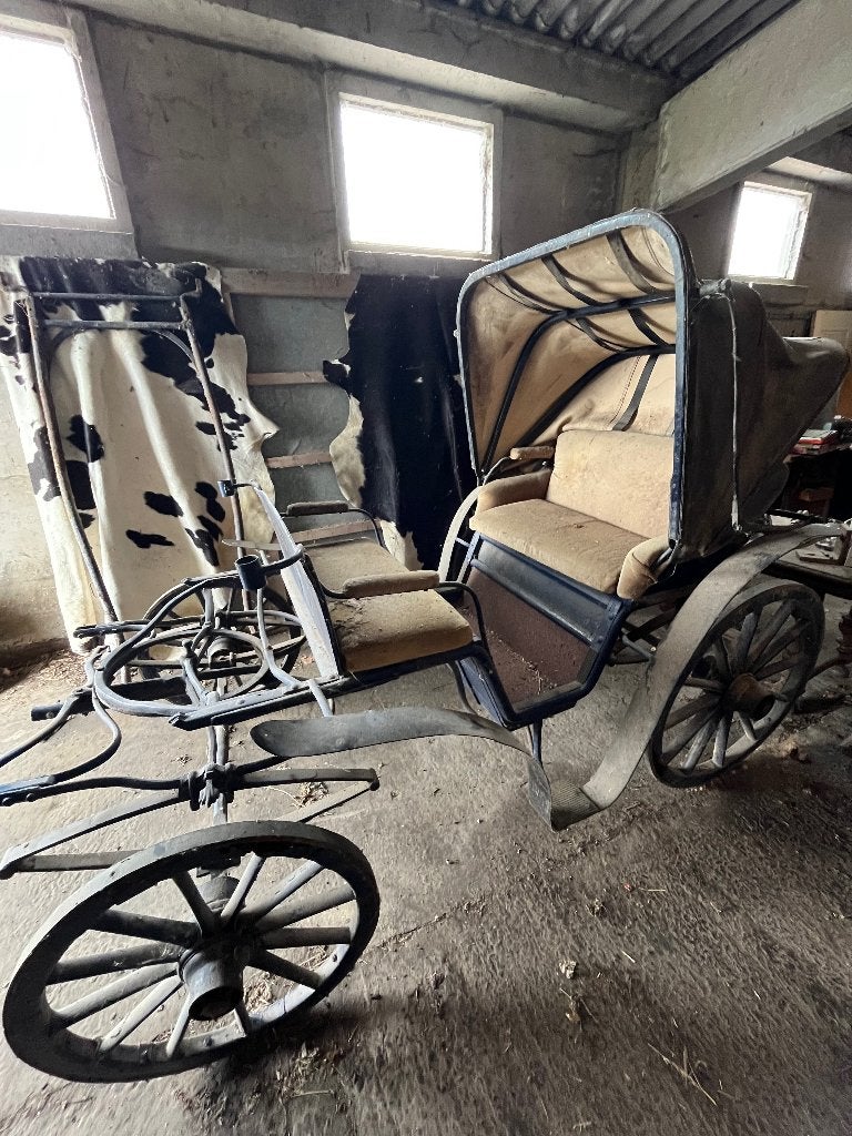 Paardenkoets, Dieren en Toebehoren, Gebruikt, Paard