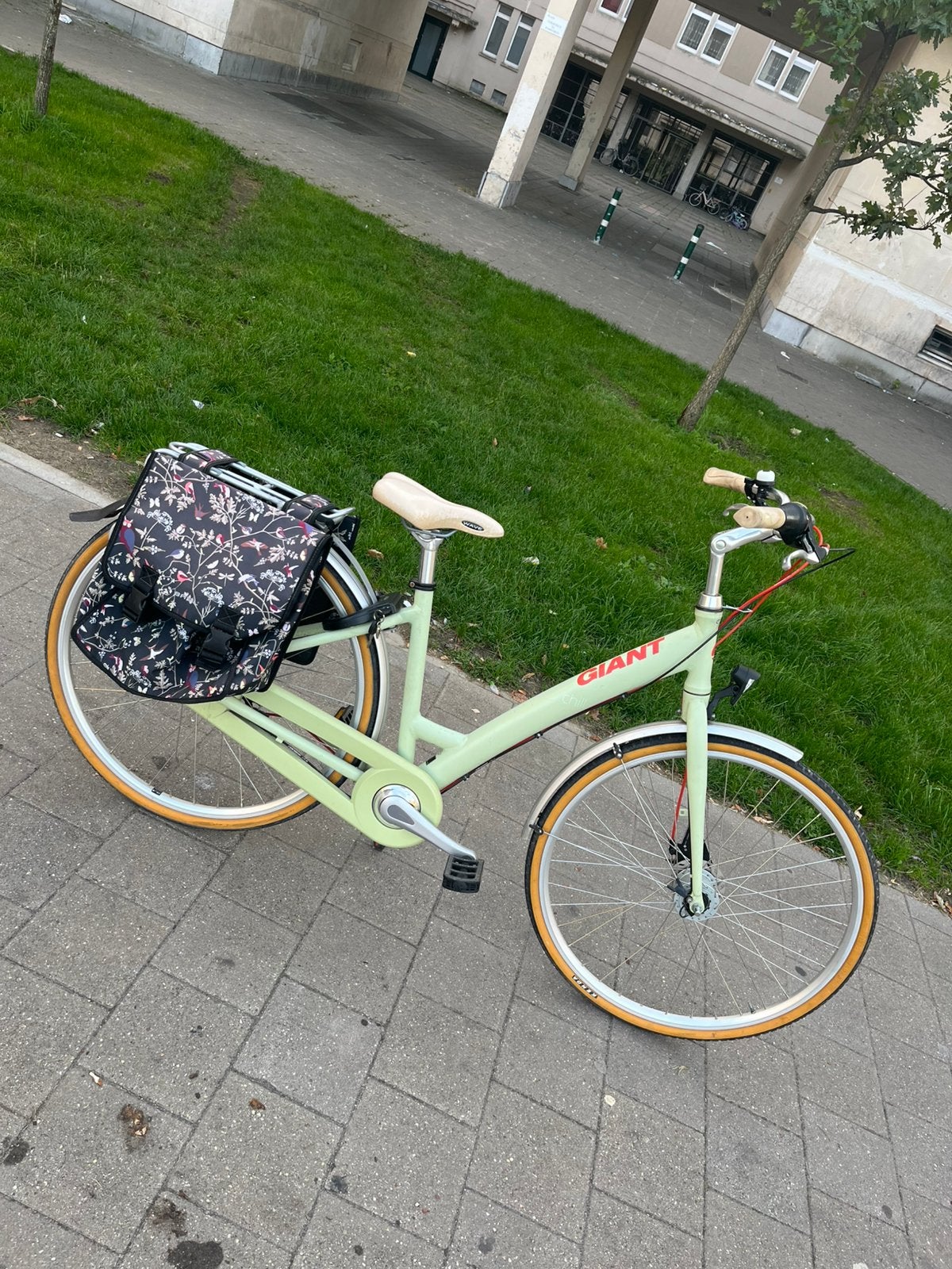 Giant damesfiets, Fietsen en Brommers, Ophalen, Zo goed als nieuw, Giant