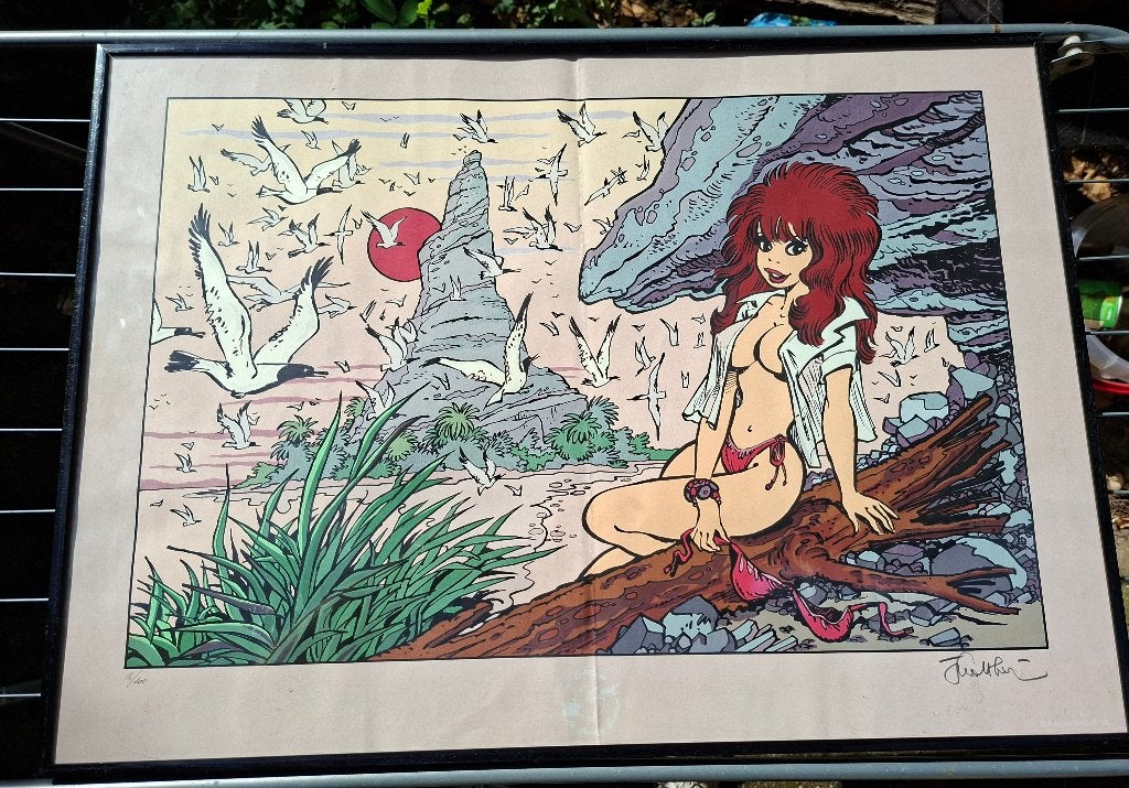 Dessin Natacha 50x70cm., Collections, Rectangulaire horizontal, Enlèvement, Utilisé, Autres sujets/thèmes