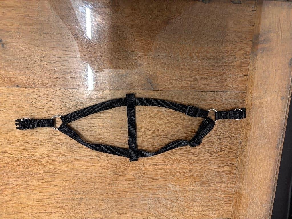 Harnais pour petit chien, Enlèvement, Utilisé
