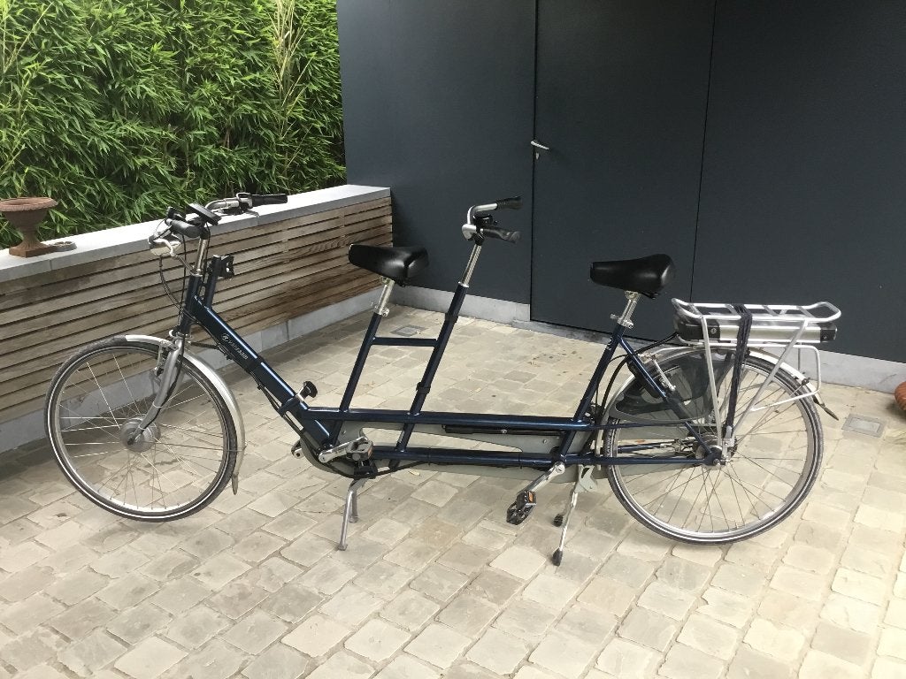 Elektrische tandem, Fietsen en Brommers, Fietsen | Tandems, Ophalen, Gebruikt, Minder dan 10 versnellingen, Van Raam