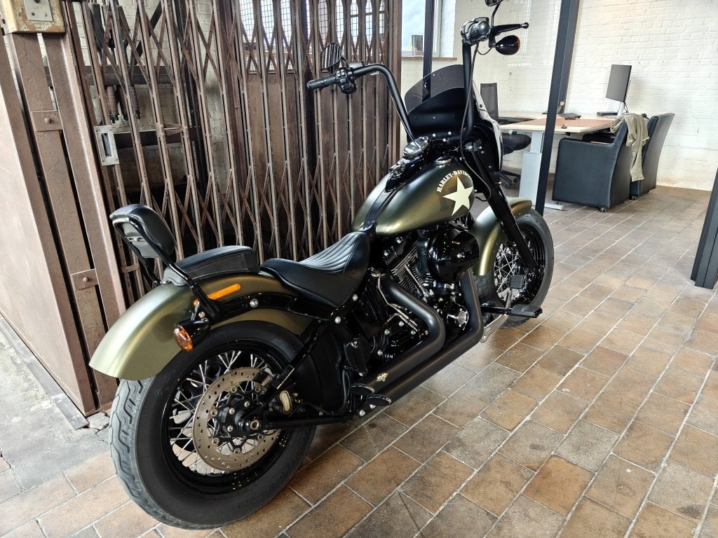 Harley-Davidson SOFTAIL FLSS SLIM S, Motoren, Harley-Davidson, Meer dan 35 kW, Overig, ABS