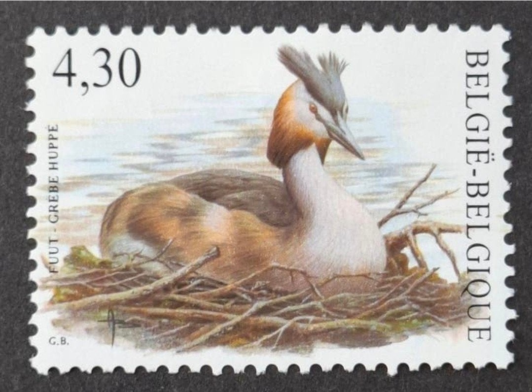 België: OBP 3538 ** Vogels 2006., Frankeerzegel, Ophalen of Verzenden, Zonder stempel, Postfris