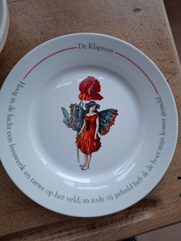 Prachtig Flower Fairies kommetje en bord, Ophalen