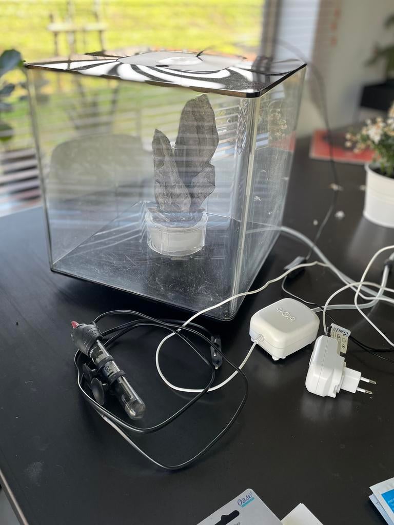 biOrb aquarium 30l, Enlèvement, Comme neuf, Aquarium vide