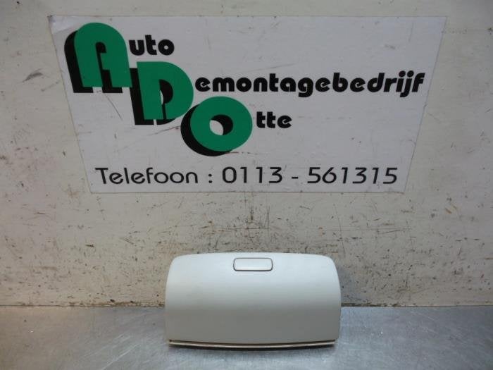 Opbergvak hemel van een Volkswagen Golf Plus (Golf Plus 05-), Gebruikt, -, Volkswagen, -