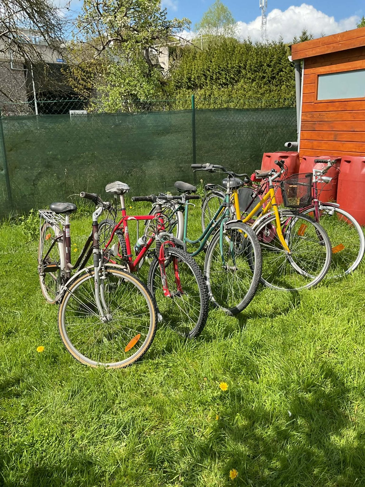 Lot de 5 vélo homme/femme, Vélos & Vélomoteurs, Vélos | Hommes | Vélos de sport & Vélo de randonnée, Enlèvement, Utilisé