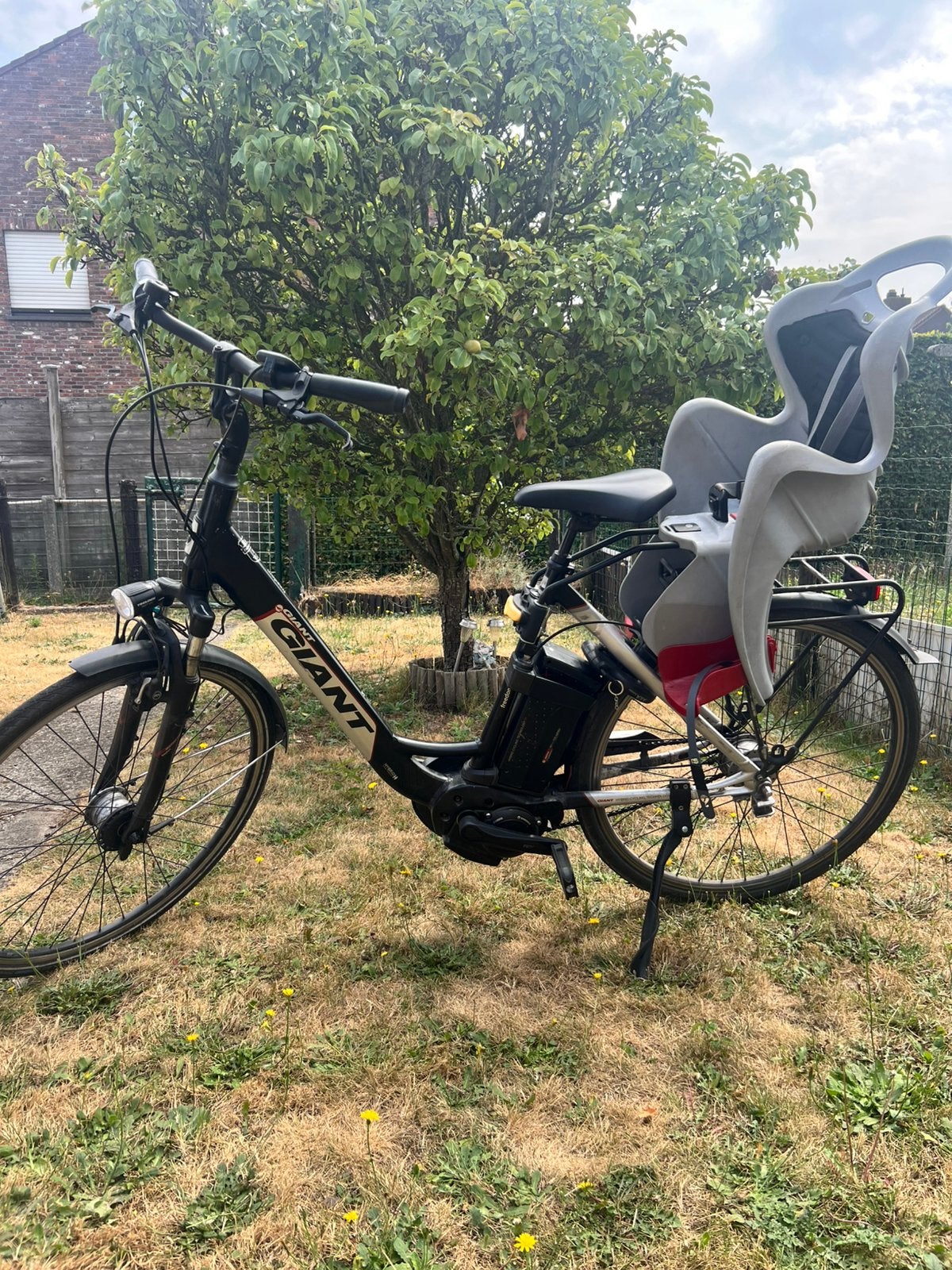 Elektrische fiets Giant, Ophalen, Gebruikt, Velgrem, Versnellingen