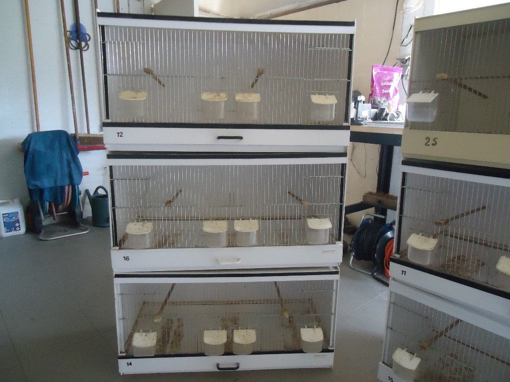 broedkooien, Dieren en Toebehoren, Vogels | Hokken en Kooien, Ophalen, Zo goed als nieuw, Kunststof, Broedkooi of Kweekkooi