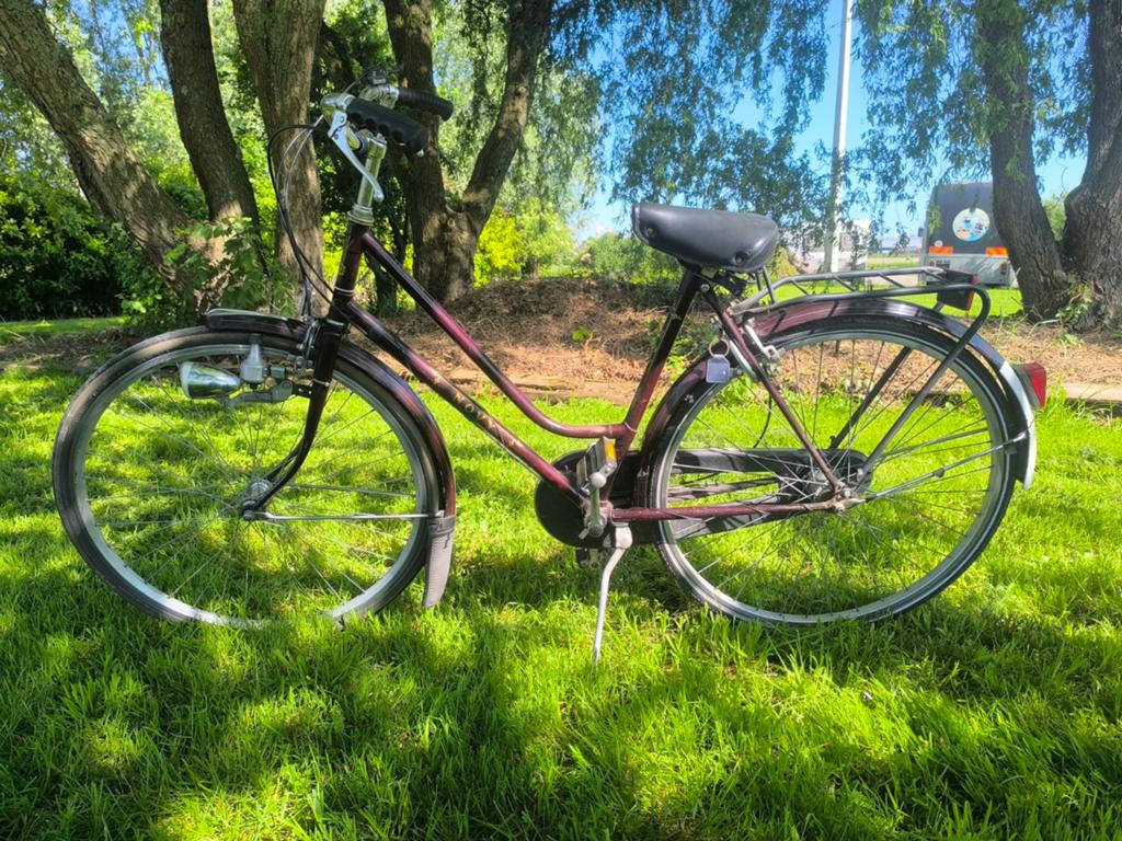 Novy dames fiets in goede staat remt rijd verlichting werkt, Enlèvement