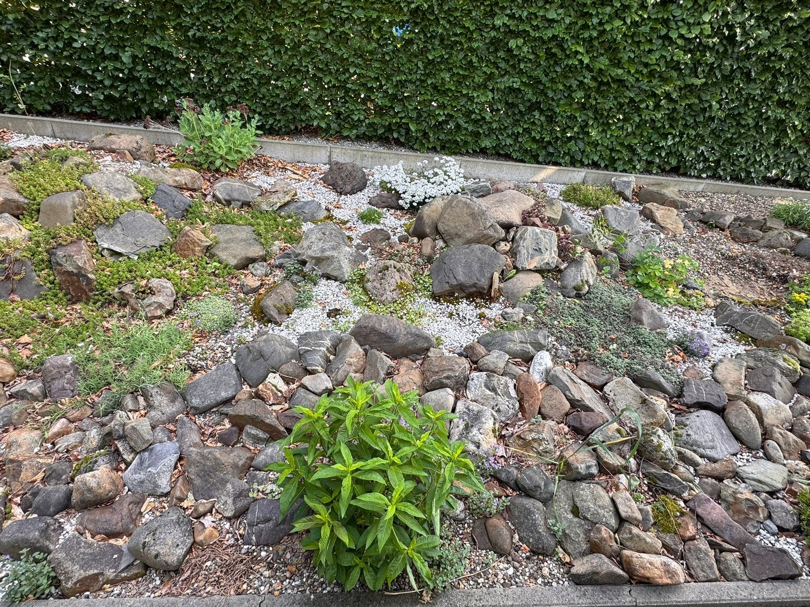 Rotsstenen voor in tuin, vijver,…., Ophalen, Zo goed als nieuw