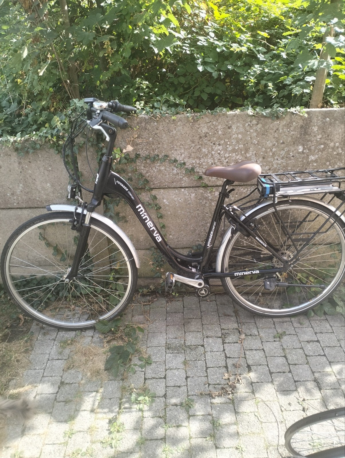 electrische fiets minerva, Ophalen