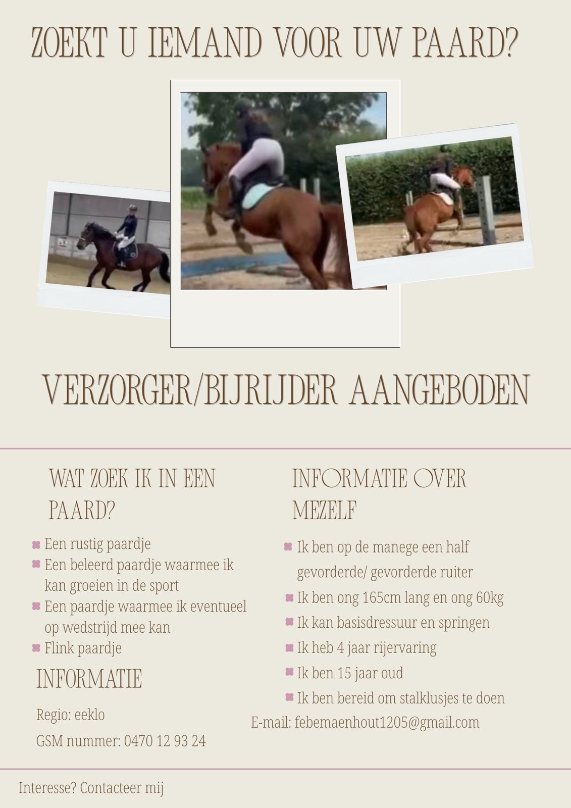 Verzorger/ bijrijder aangeboden, Dieren en Toebehoren, Paarden, Zadelmak, Springpaard