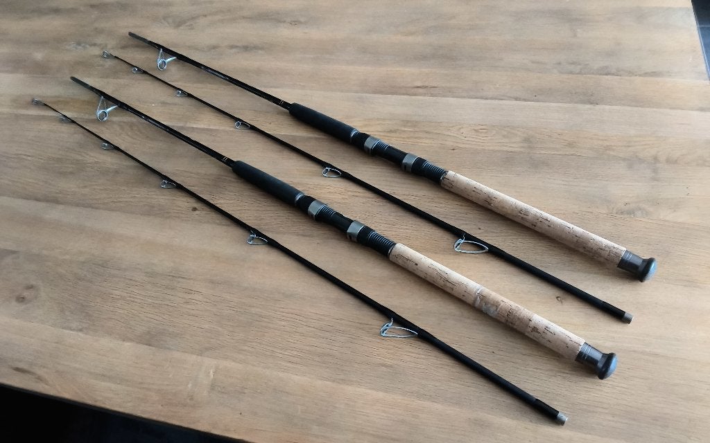 Black Cat Thé Fun stick meervalhengels., Watersport en Boten, Ophalen, Zo goed als nieuw, Complete set