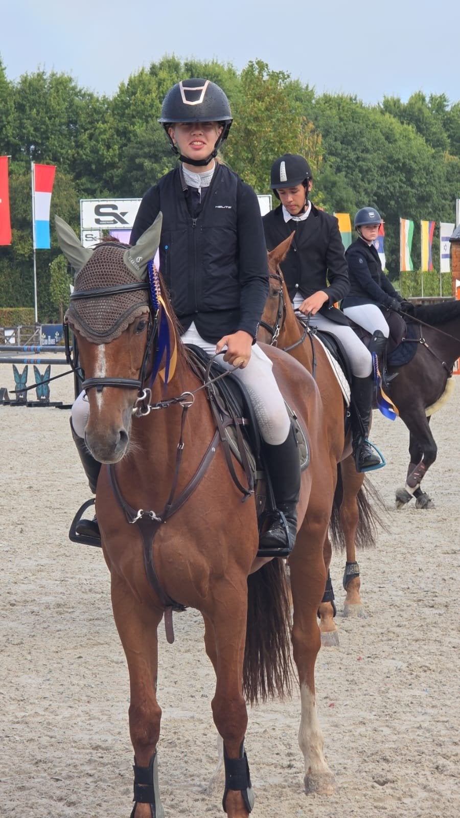 Firenza – ervaren wedstrijdmerrie met echte winnaarsmentalit, Dieren en Toebehoren, Merrie, ZZ, Springpaard, Met stamboom