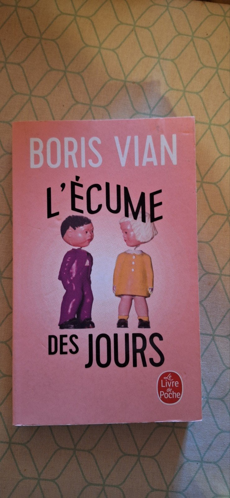 L'écume des jours, Boeken, Chicklit, Ophalen