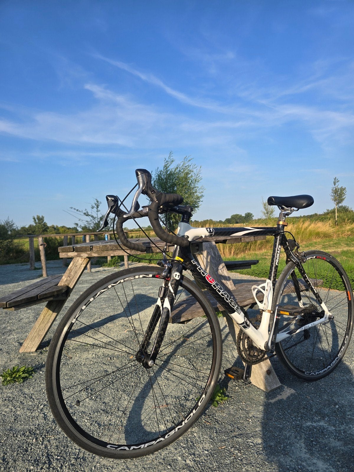Racefiets PRORACE ZEUS carbon, Fietsen en Brommers, Ophalen of Verzenden