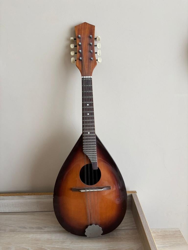 Mandoline, Musique & Instruments, Instruments à corde | Mandolines, Enlèvement, Utilisé