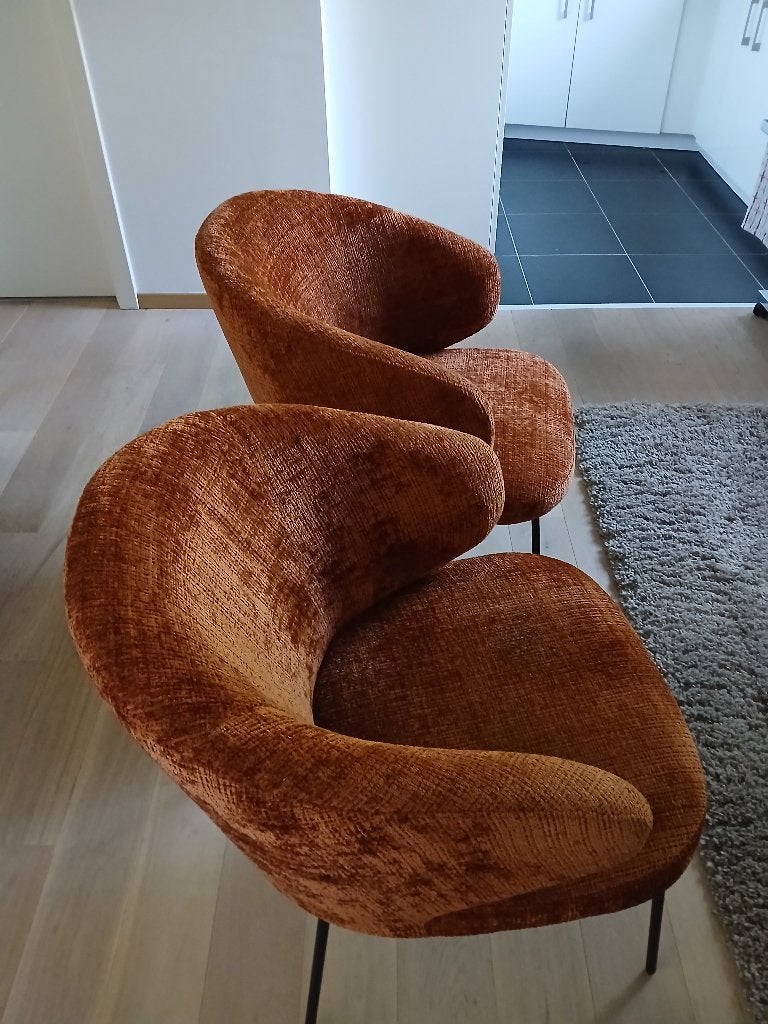 Twee clubstoelen van Juntoo, Neuf, Autres couleurs, Club, Deux