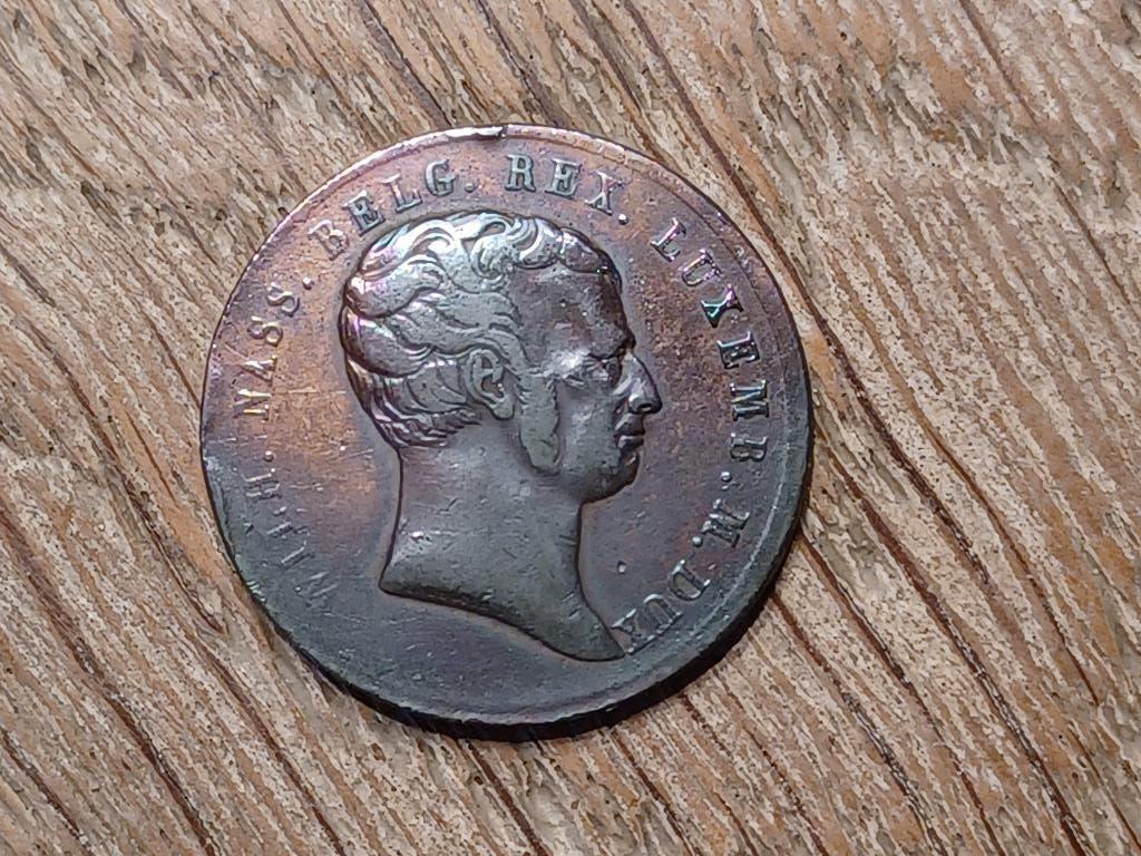 1815 penning willem 2 belg et luxem., Ophalen of Verzenden, Brons