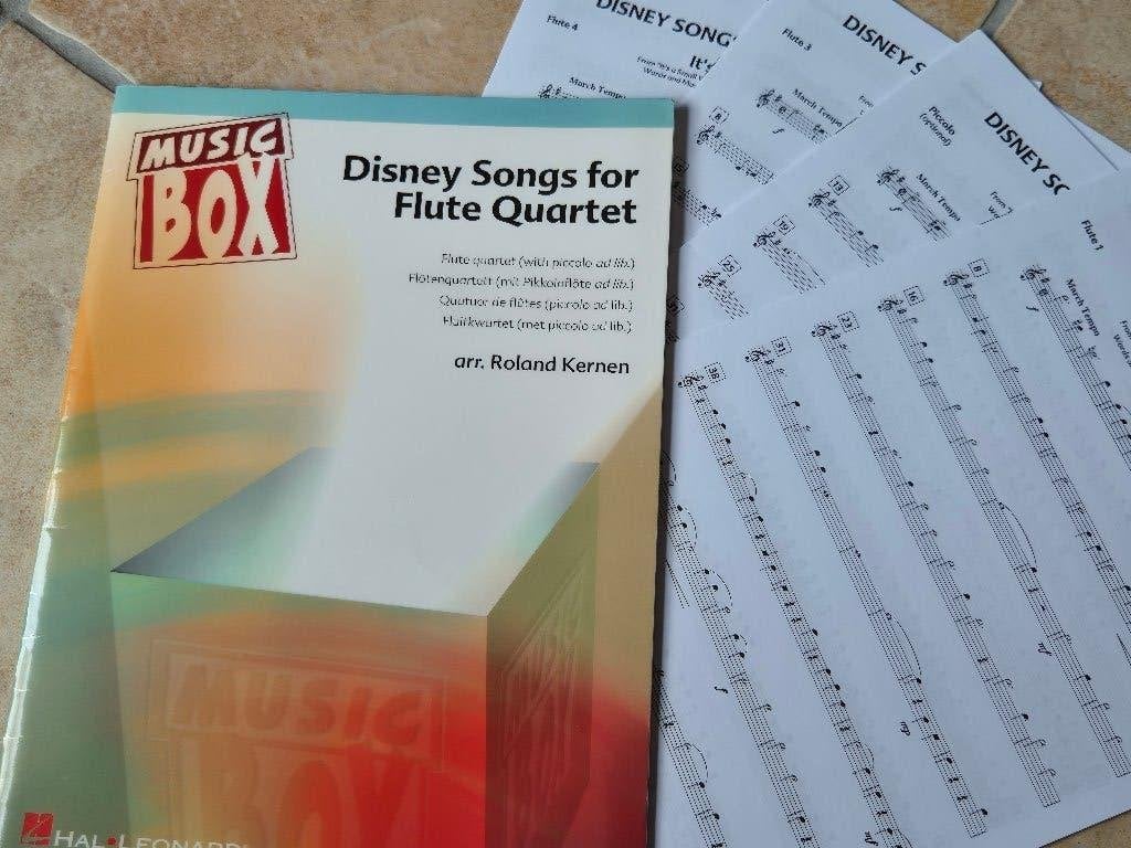 Bladmuziek 3 of meer fluiten/altblokfluiten 11 boeken, Klassiek, Overige soorten, Ophalen of Verzenden, Zo goed als nieuw