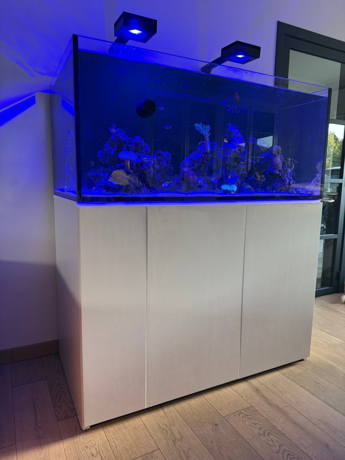 Aqua Medica 500 XD, Dieren en Toebehoren, Ophalen, Gevuld zeewateraquarium, Gebruikt, Inclusief slangen