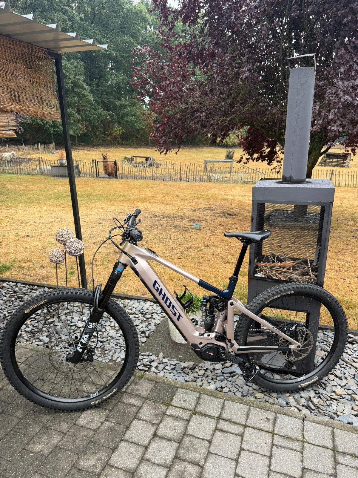 Ghost E-Riot CF Pro (Large) Bosch Gen 5 800Wh Carbon E-MTB, Vélos & Vélomoteurs, Vélos | VTT & Mountainbikes, Autres marques, Comme neuf