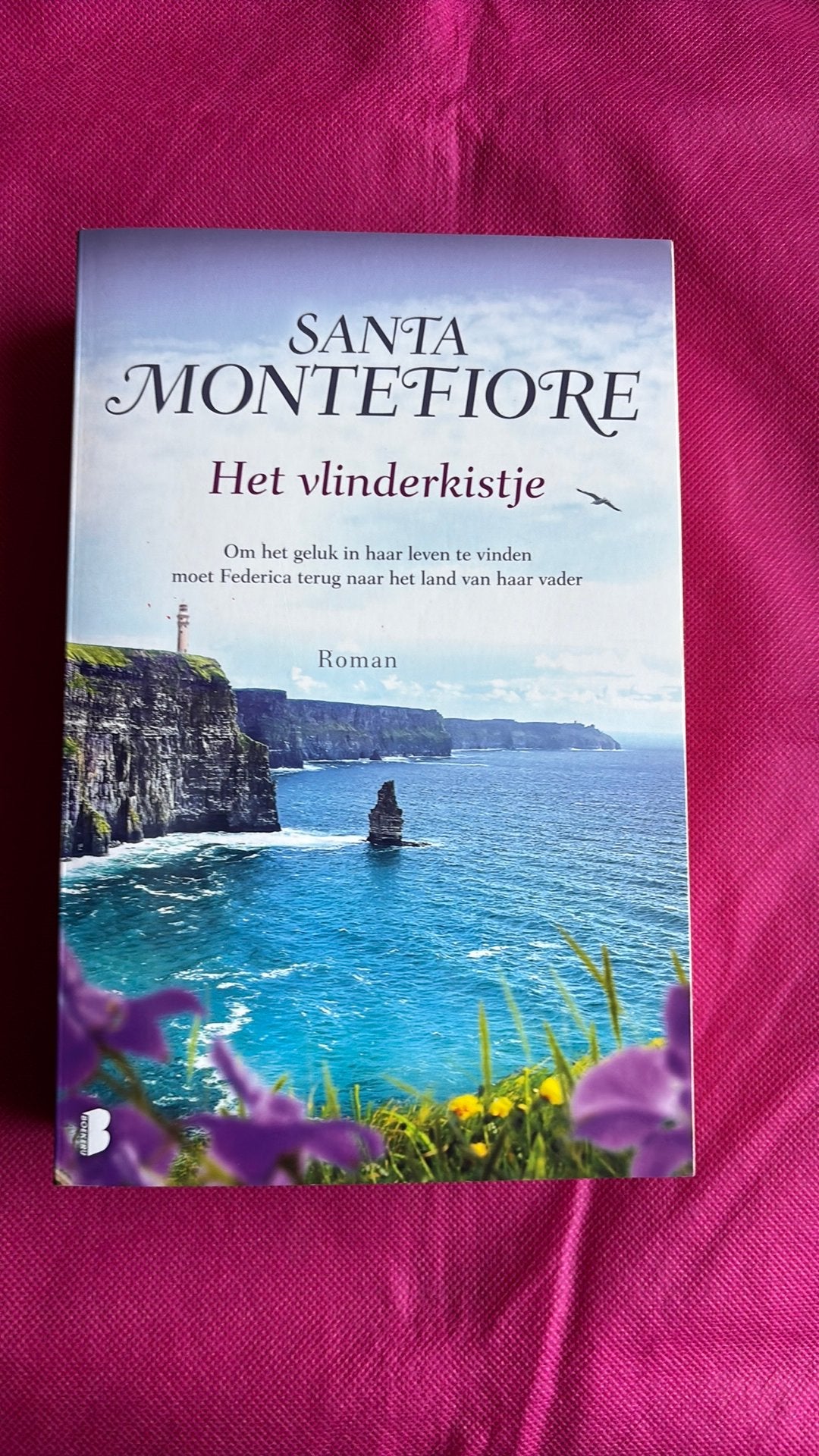 Boek van Santa Montefiore * Het vlinderkistjr, Boeken, Ophalen of Verzenden, Nieuw, Santa Montefiore