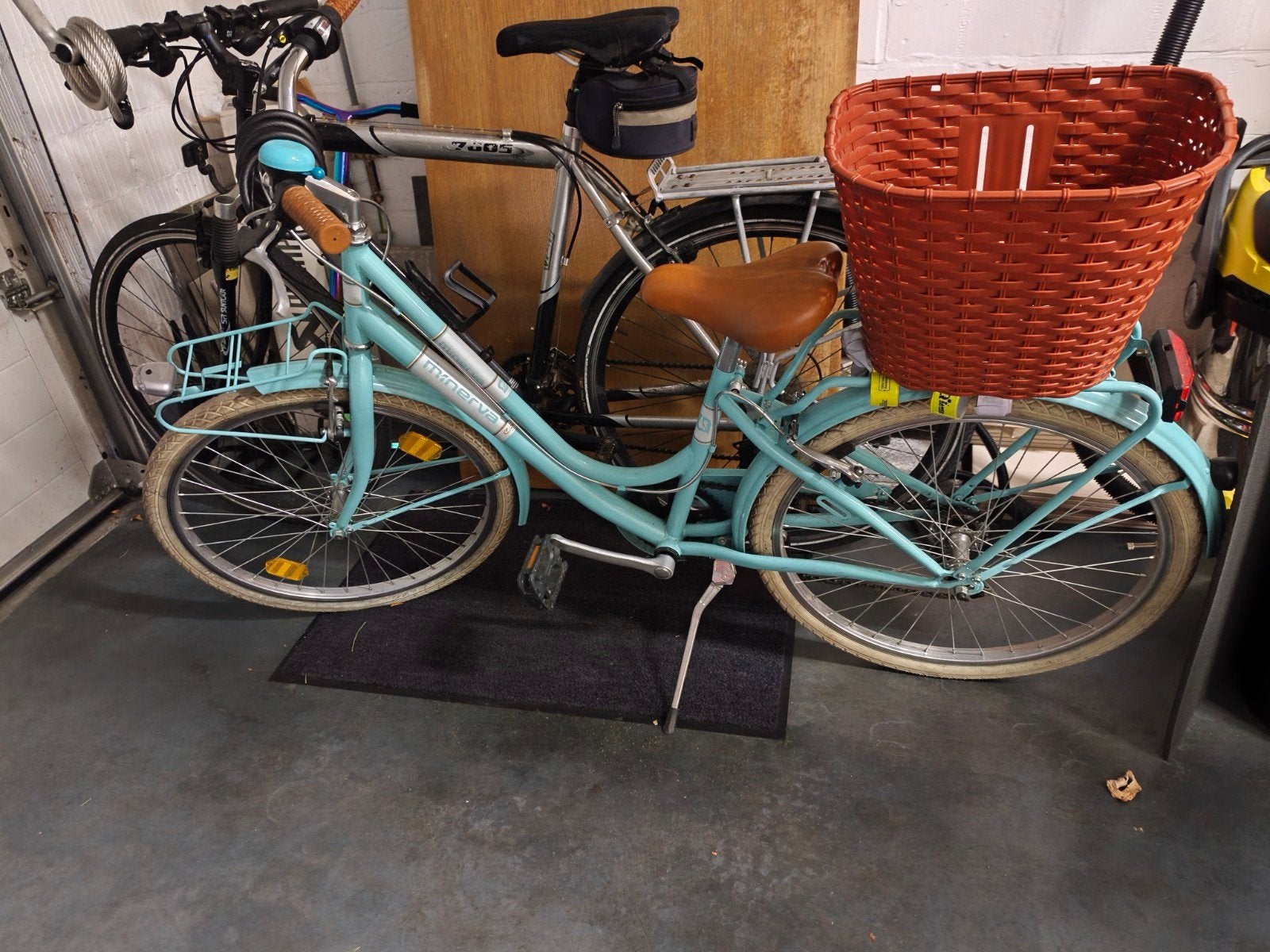 Minerva meisjesfiets, Enlèvement