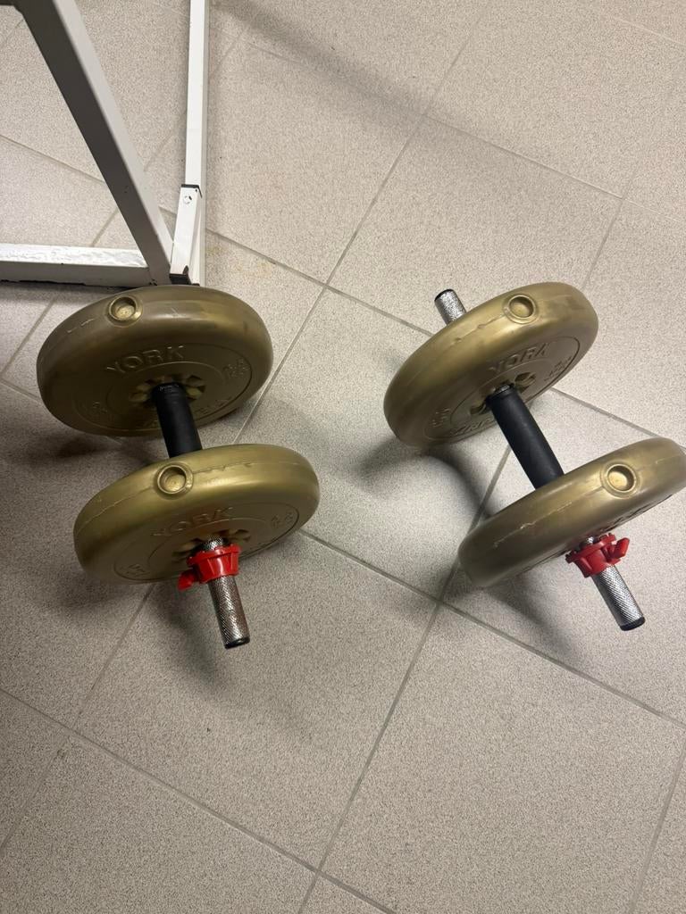 Gewichten biceps, Sport en Fitness, Ophalen, Gebruikt