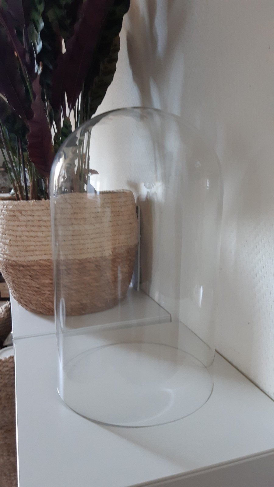 Glazen stolp, Huis en Inrichting, Woonaccessoires | Stolpen, Ophalen