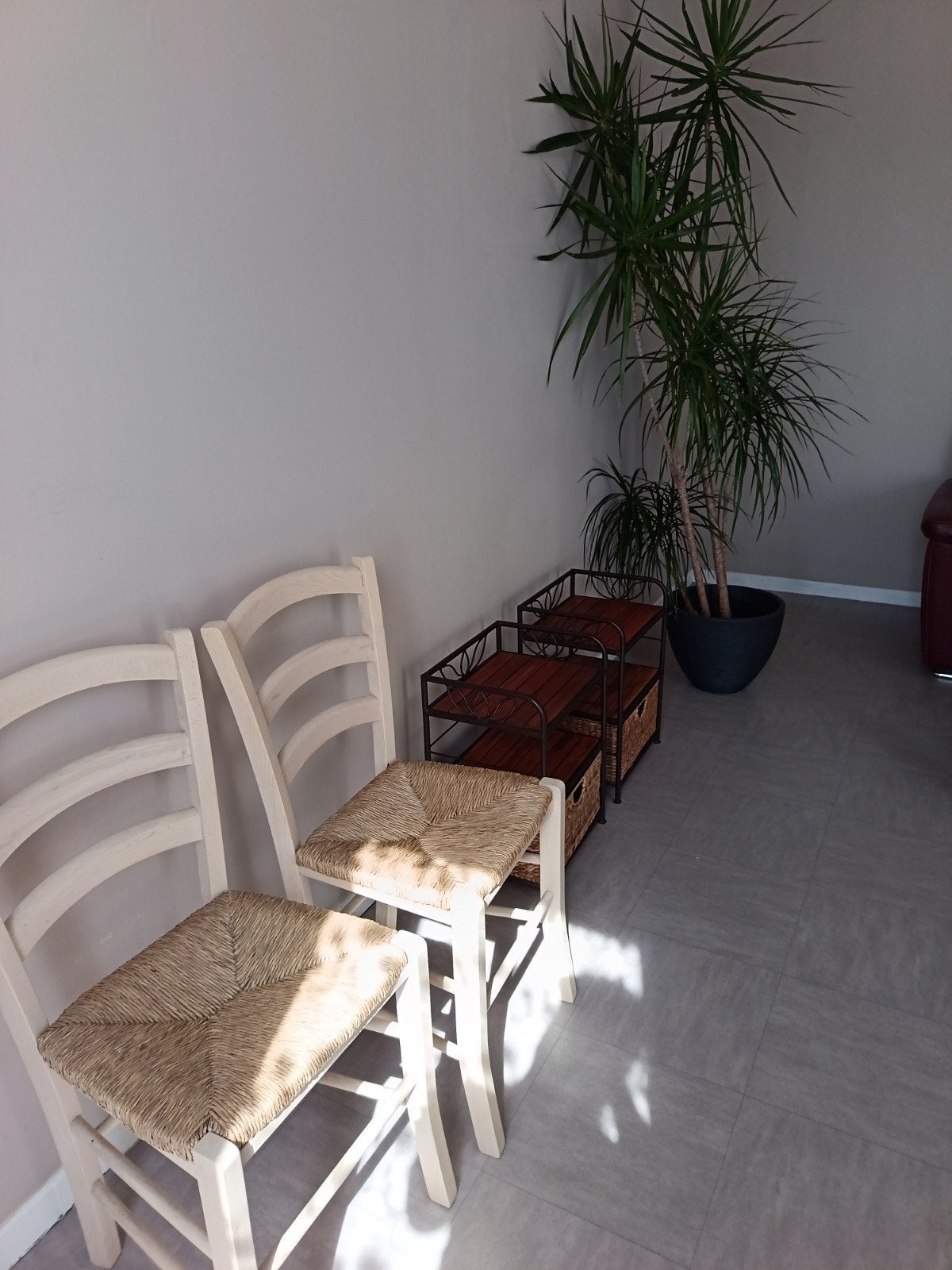 À vendre 4 meubles + 1 grande plante, Jardin & Terrasse, Enlèvement