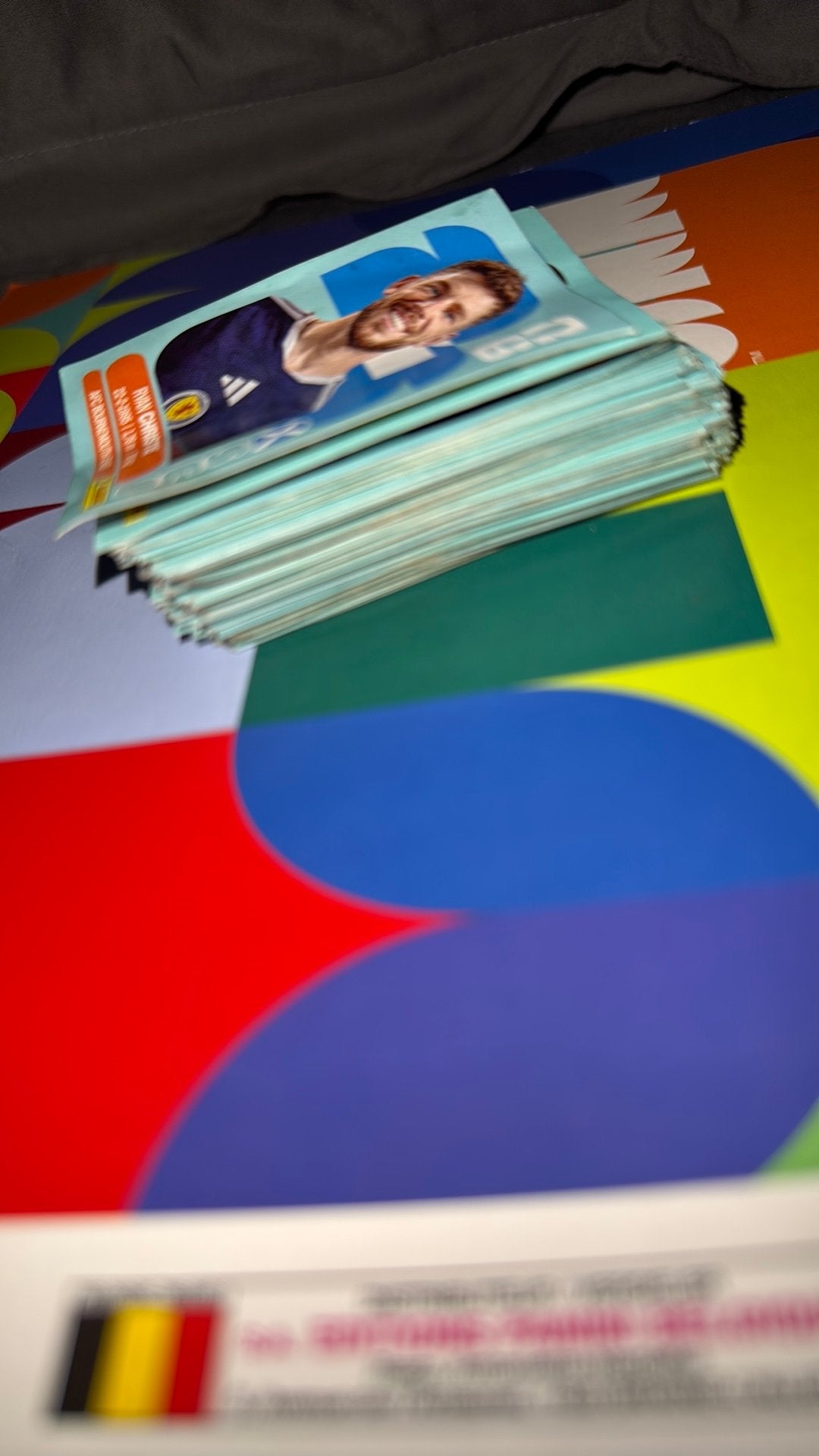 80 panini voetbalkaarten