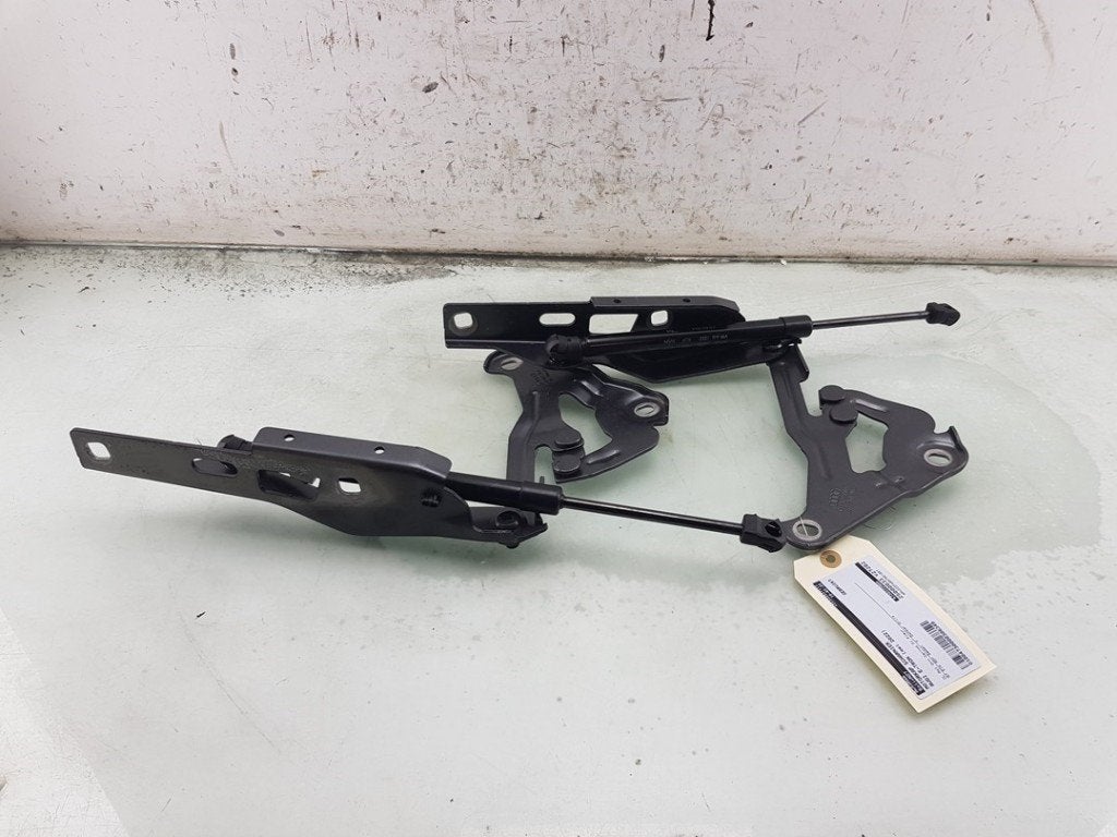 MOTORKAPSCHARNIER E-Tron GT (F83) (|4J3823296A|4J3823295A|), Gebruikt, Audi